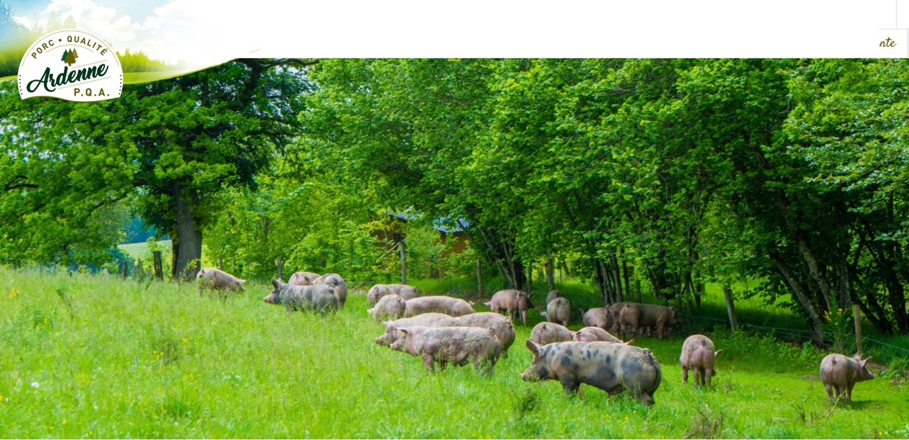 Porc PQA et autres viandes